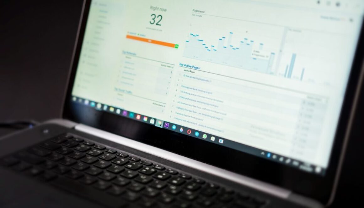 SEO Expert