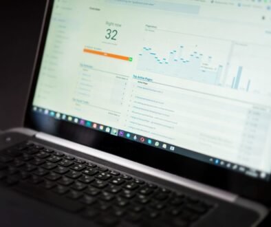 SEO Expert